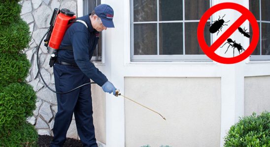 Akdağmadeni Böcek İlaçlama böcek ilaçlama ve haşere kontrolü — ilaclama-tr.com
